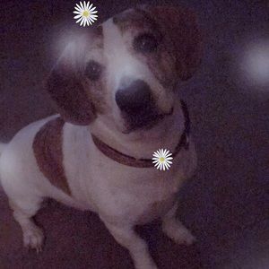 Meet your Posher, Shelly